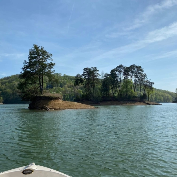 Sharing Items Bought for the Woman I'm Growing Into Becoming - Picture 2 of 5